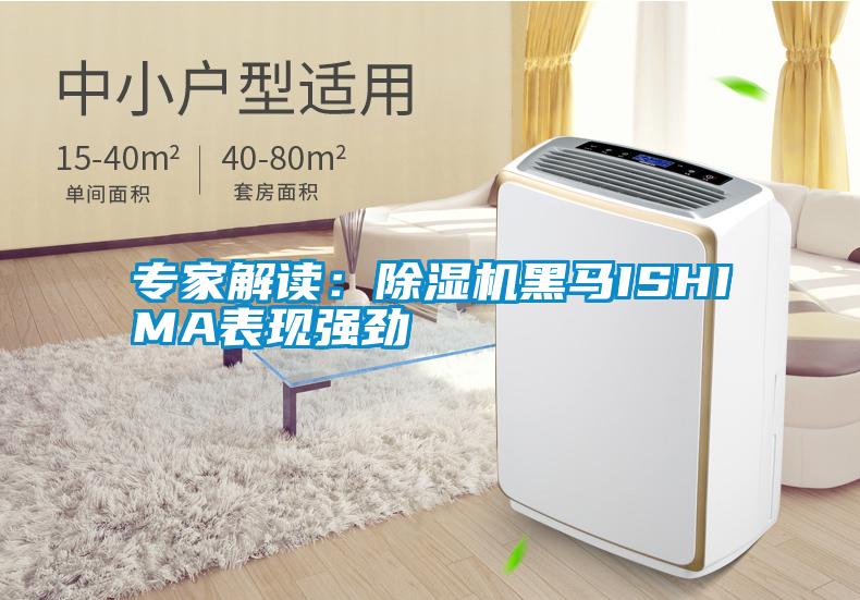 專家解讀:除濕機黑馬ISHIMA表現強勁