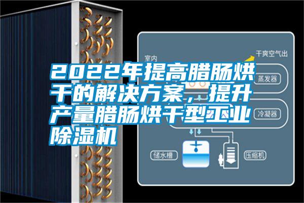 2022年提高臘腸烘干的解決方案,提升產(chǎn)量臘腸烘干型工業(yè)除濕機