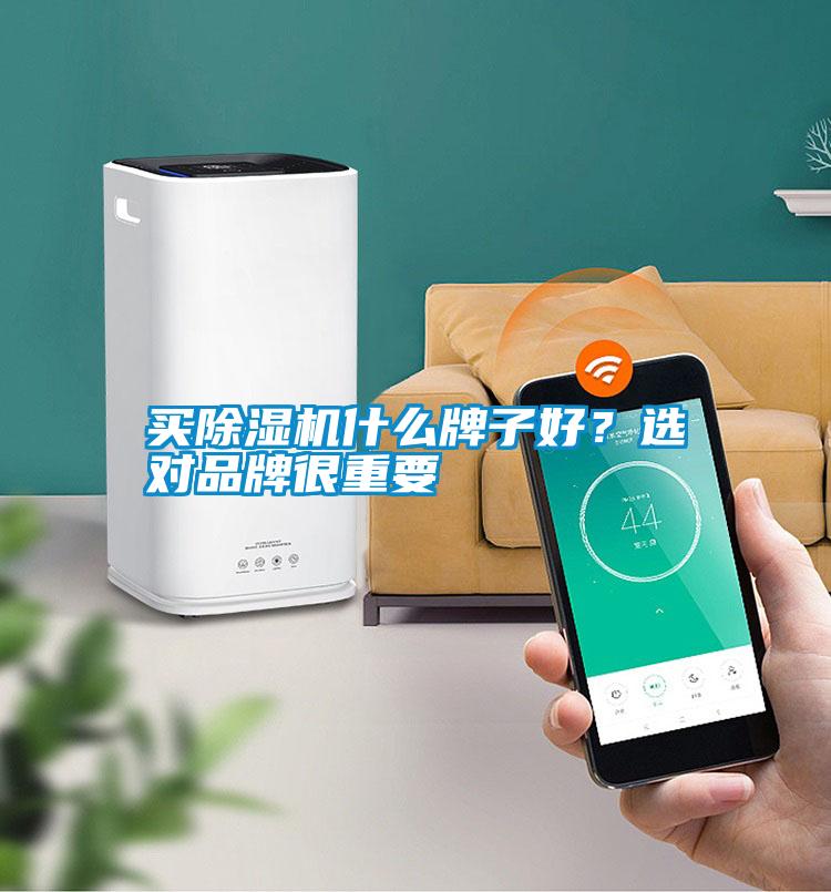 買除濕機什么牌子好？選對品牌很重要