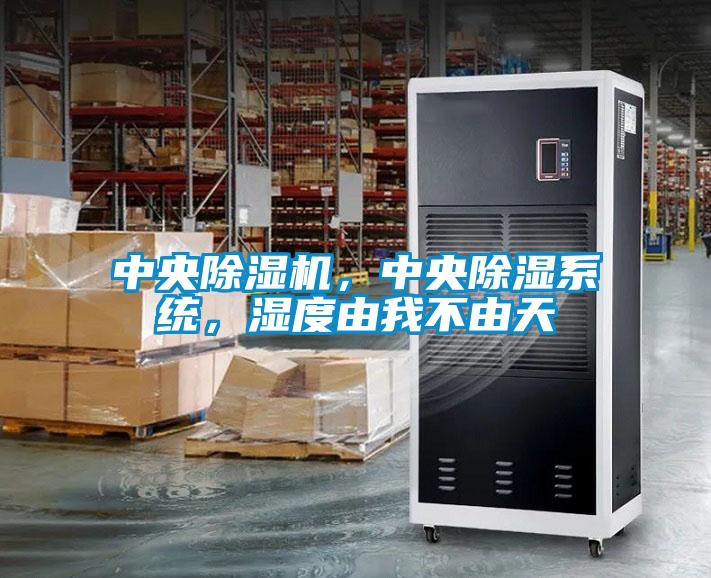 中央除濕機，中央除濕系統，濕度由我不由天