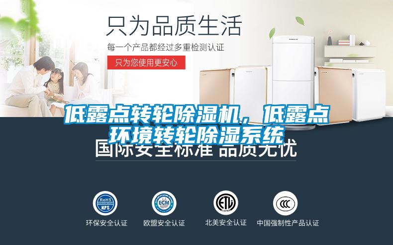 低露點(diǎn)轉(zhuǎn)輪除濕機(jī),低露點(diǎn)環(huán)境轉(zhuǎn)輪除濕系統(tǒng)