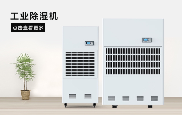 三八節送媽媽的禮物,選這款安詩曼除濕器就對了