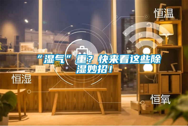 “濕氣”重?快來看這些除濕妙招!