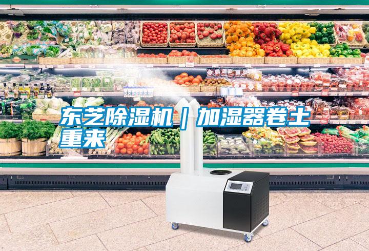 東芝除濕機|加濕器卷土重來