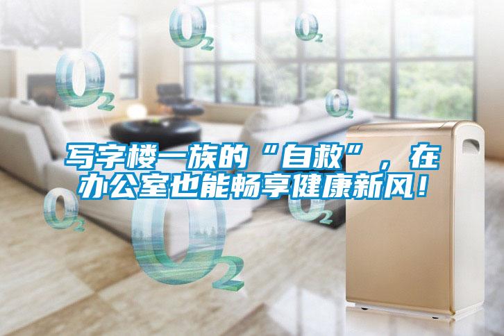 寫字樓一族的“自救”,在辦公室也能暢享健康新風!