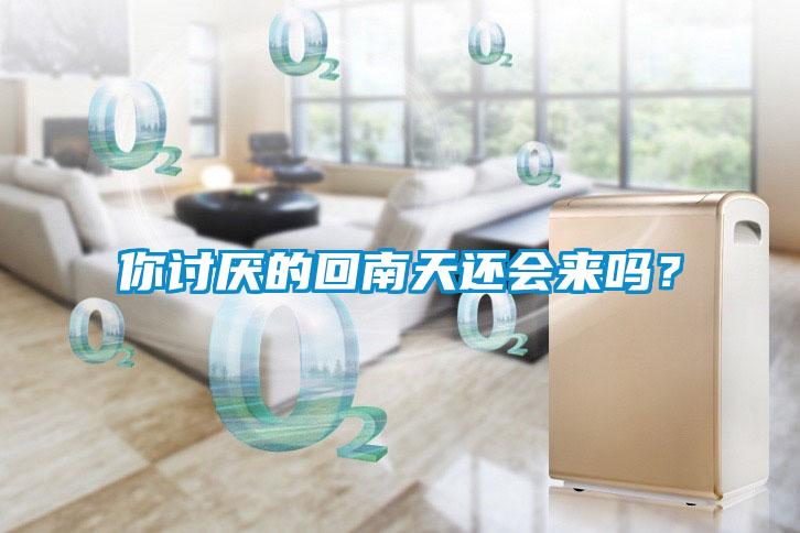 你討厭的回南天還會來嗎?