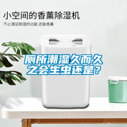 廁所潮濕久而久之會(huì)生蟲(chóng)還是?