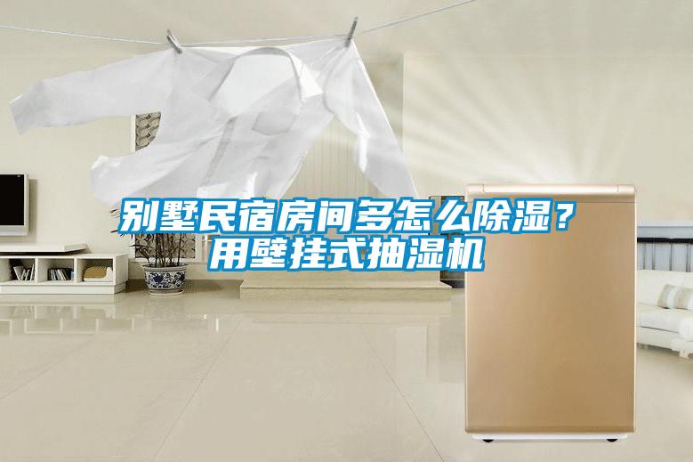 別墅民宿房間多怎么除濕？用壁掛式抽濕機