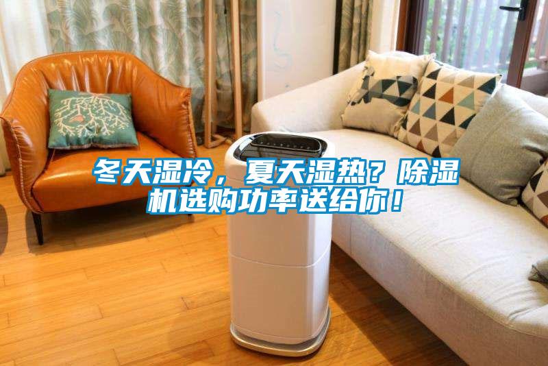 冬天濕冷,夏天濕熱?除濕機選購功率送給你!