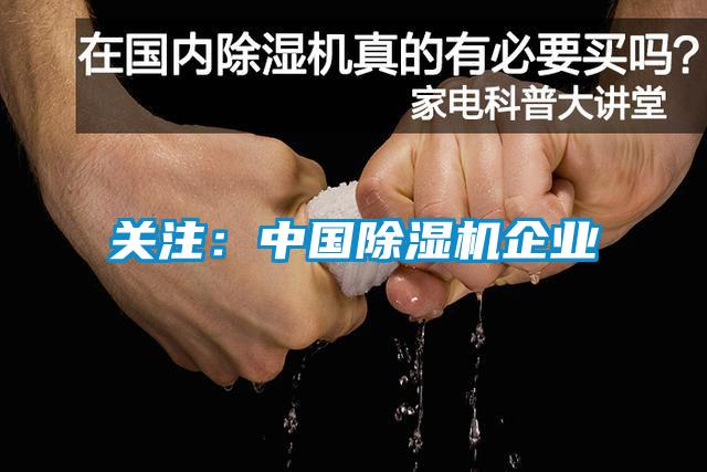 關(guān)注:中國除濕機企業(yè)