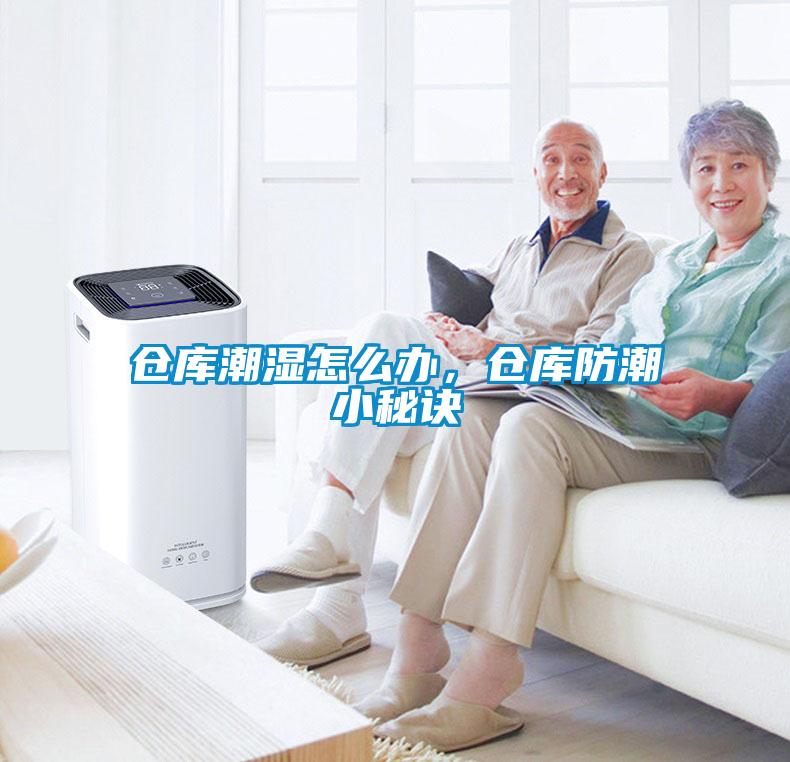 倉庫潮濕怎么辦,倉庫防潮小秘訣