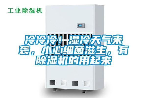 冷冷冷！濕冷天氣來襲，小心細菌滋生，有除濕機的用起來