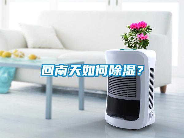 回南天如何除濕？