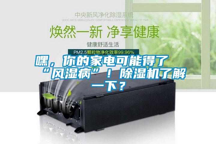 嘿，你的家電可能得了“風濕病”！除濕機了解一下？