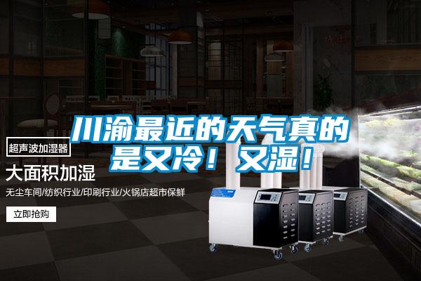 川渝最近的天氣真的是又冷！又濕！
