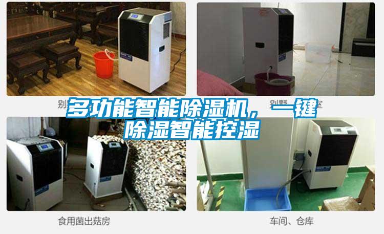 多功能智能除濕機，一鍵除濕智能控濕
