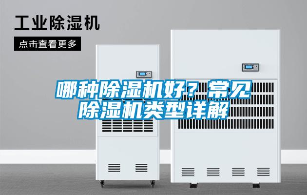 哪種除濕機好?常見除濕機類型詳解