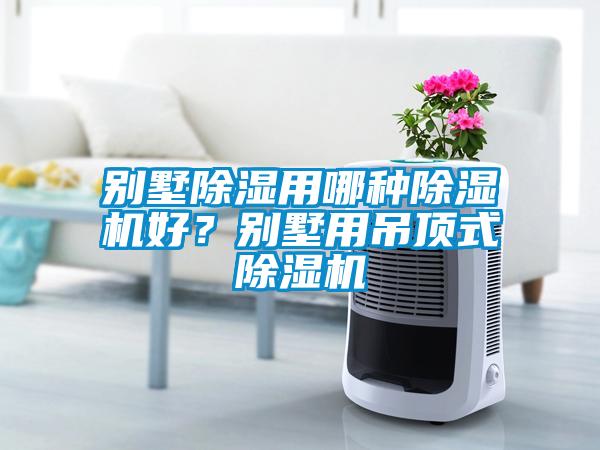 別墅除濕用哪種除濕機好？別墅用吊頂式除濕機