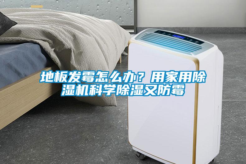 地板發霉怎么辦？用家用除濕機科學除濕又防霉