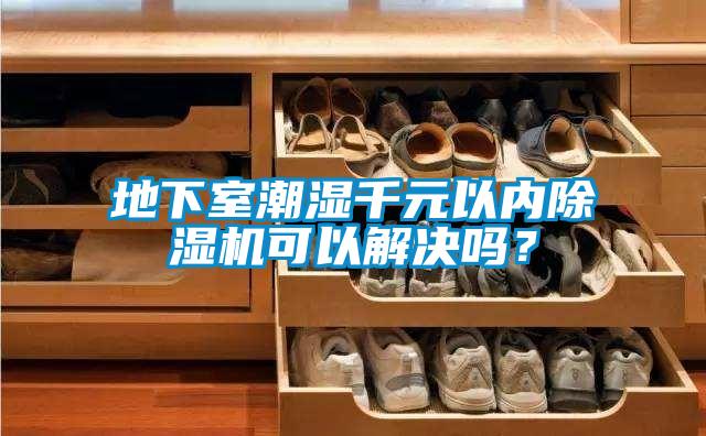 地下室潮濕千元以內除濕機可以解決嗎？