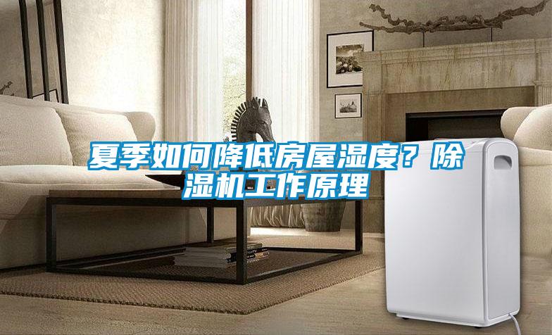 夏季如何降低房屋濕度？除濕機工作原理