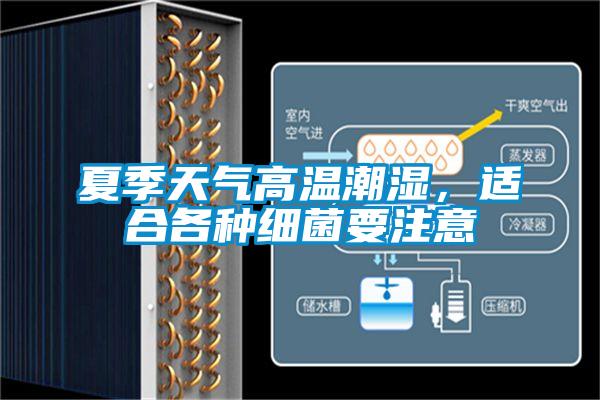 夏季天氣高溫潮濕，適合各種細菌要注意