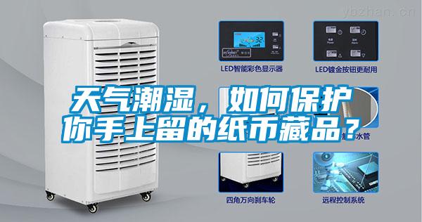 天氣潮濕，如何保護你手上留的紙幣藏品？