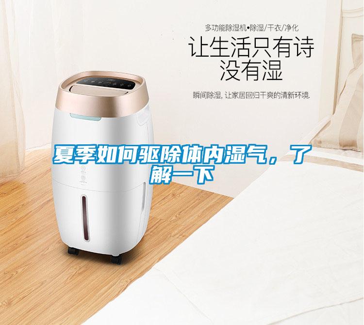 夏季如何驅除體內濕氣,了解一下