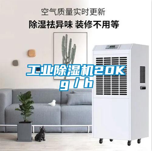 工業(yè)除濕機20Kg/h