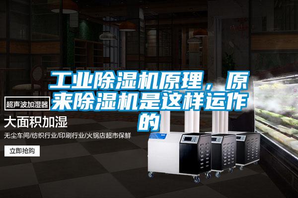 工業除濕機原理，原來除濕機是這樣運作的