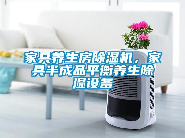 家具養生房除濕機，家具半成品平衡養生除濕設備