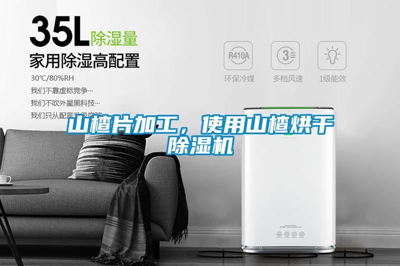 山楂片加工，使用山楂烘干除濕機
