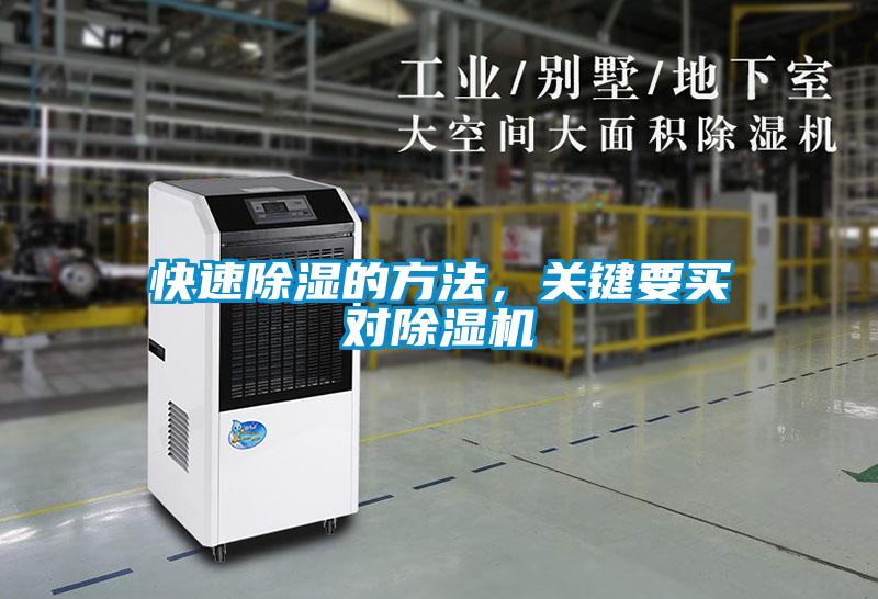 快速除濕的方法,關(guān)鍵要買(mǎi)對(duì)除濕機(jī)
