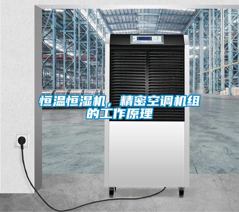 恒溫恒濕機,精密空調機組的工作原理