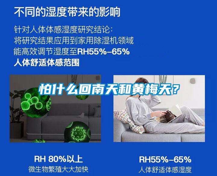 怕什么回南天和黃梅天?