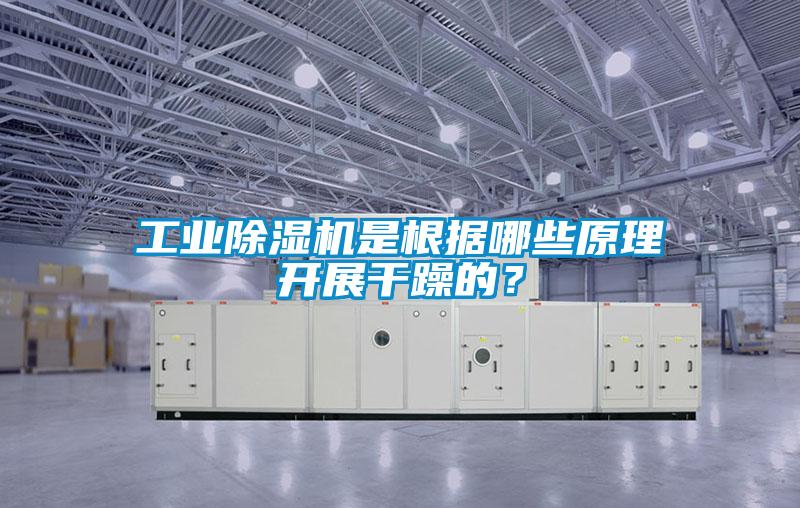 工業除濕機是根據哪些原理開展干躁的?