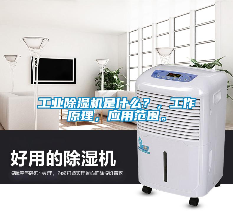 工業除濕機是什么?,工作原理,應用范圍。