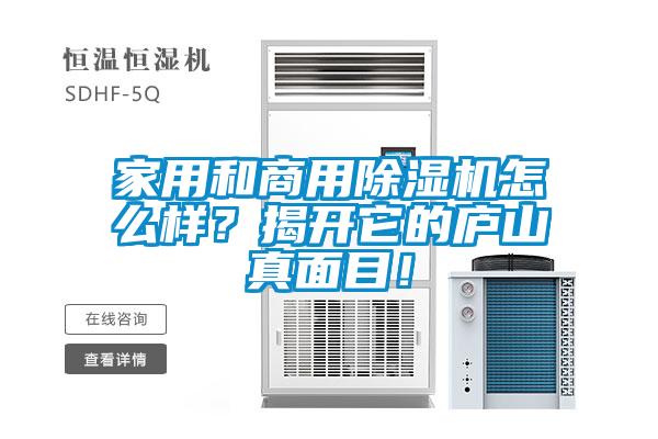家用和商用除濕機怎么樣？揭開它的廬山真面目！