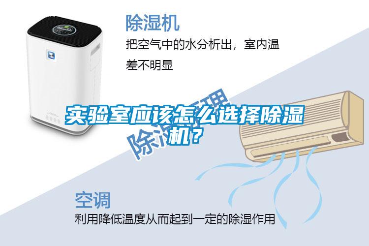 實驗室應該怎么選擇除濕機?