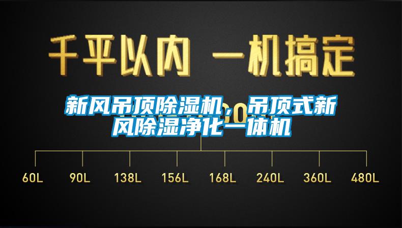 新風(fēng)吊頂除濕機(jī)，吊頂式新風(fēng)除濕凈化一體機(jī)