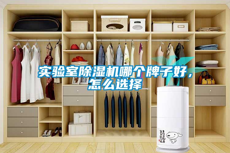實驗室除濕機哪個牌子好,怎么選擇