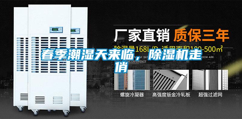 春季潮濕天來臨，除濕機走俏