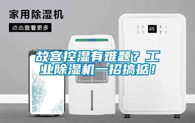 故宮控濕有難題?工業(yè)除濕機(jī)一招搞掂!
