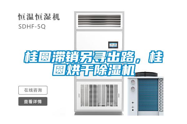 桂圓滯銷另尋出路，桂圓烘干除濕機