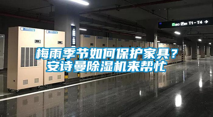 梅雨季節如何保護家具？安詩曼除濕機來幫忙