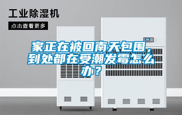 家正在被回南天包圍，到處都在受潮發霉怎么辦？
