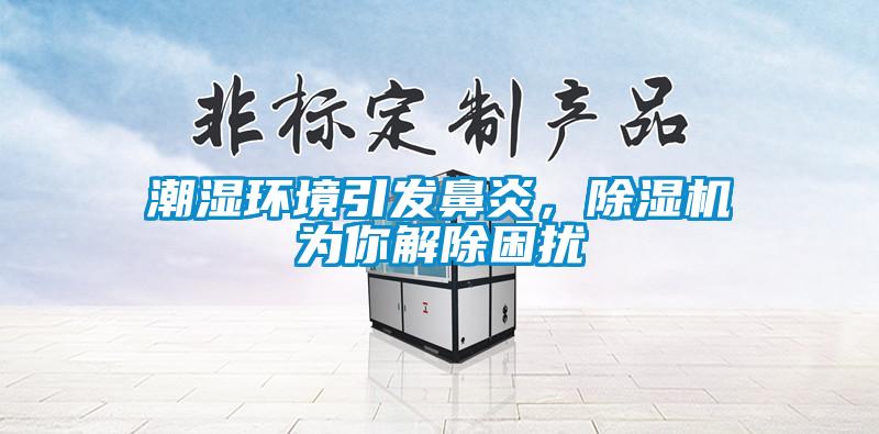 潮濕環(huán)境引發(fā)鼻炎，除濕機(jī)為你解除困擾