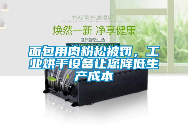 面包用肉粉松被罰,工業烘干設備讓您降低生產成本