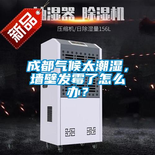 成都氣候太潮濕，墻壁發(fā)霉了怎么辦？