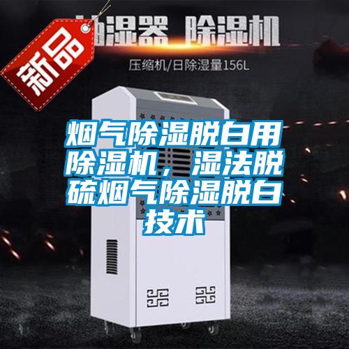 煙氣除濕脫白用除濕機(jī),濕法脫硫煙氣除濕脫白技術(shù)